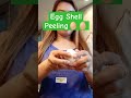 Egg Shell Peeling #trending #youtubeshorts #shortvideo #viral #asmr #shortsfeed #shorts #short