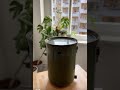 how to use bokashi composter seedor plant aesthetic store