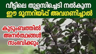 ഭാവി പ്രവചിക്കുന്ന തുളസിച്ചെടി : ഈ മാറ്റങ്ങൾ ശ്രദ്ധിച്ച് നോക്കൂ