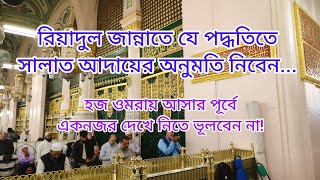 রিয়াদুল জান্নাতে প্রবেশের সঠিক পদ্ধতি । Riyadhul Jannah । Madinah । Saudi Arabia । ARAB SAFAR