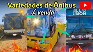 Ônibus Scania e Mercedes-Benz à Venda