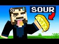 SOUR Mod in Minecraft