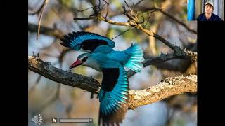 Uganda Virtual Birding Tour.