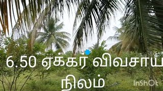 6 ஏக்கர் 50 சென்ட் விவசாய நிலம்