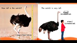Measure It! from Epic Online Books