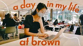 A Chaotic Day in My Life at Brown University