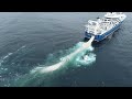 fishing with faroese trawler christian í grótinum