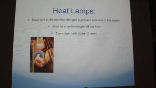 Basic Swine Health Management During and After Farrowing