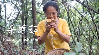 1/2 I found so many mushrooms for the first time|過癮，密密麻麻的蘑菇，絡繹不絕的采菇人，幾分鐘采滿壹簍子【乡野莲姐】