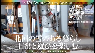 Sapporo雪の季節の楽しみ方？｜Winter Season Events?｜