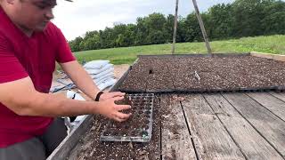 Seeding Pumpkins