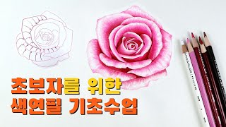 초보자를 위한 색연필 기법 - 장미꽃그리기 / 꽃 채색방법