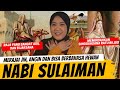 MERAJAI JIN, ANGIN DAN BISA BERBAHASA HEWAN - KISAH NABI SULAIMAN AS