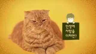 Imaginary Cat | Trailer 2 (Cat Version)|  상상고양이 티저 광고 고양이 ver