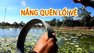 Câu Cá Lóc Truyền Thống|Câu Cá Lóc Bằng Bát|Câu rê truyền thống|Nghệ An Fishing