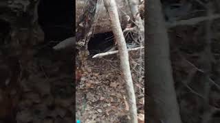 tour of the hillbilly hideout #bushcraft #farm #outdoors #survival #subscribe