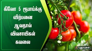 கிலோ 5 ரூபாய்க்கு விற்பனை ஆவதால் விவசாயிகள் கவலை | கிருஷ்ணகிரி | செய்தித் துளிகள் | PuthuyugamTV