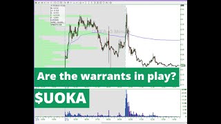 Understanding Warrant Exercise Price Resets