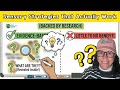 Sensory based interventions