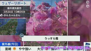 3/20【檜山沙耶】キーワードランキング～正直な山口さん