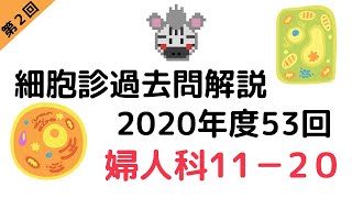 【第2回】細胞診試験 2020年度53回婦人科11-20をイラスト付きで解説！