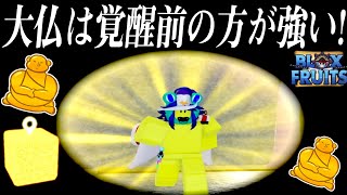 【ロブロックス】ブロックスフルーツの大仏の実は覚醒前の方が強いらしい…!?【Roblox】