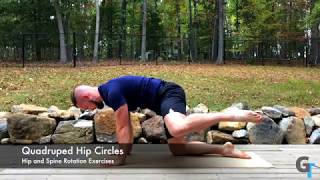 Quadruped Hip Circles - Exercise Demonstration