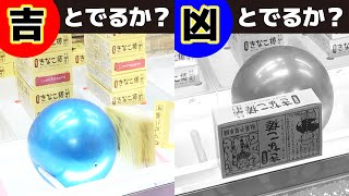 【運試し!!】スタッフ直伝！バウンド運営の攻略に挑戦！！！【クレーンゲーム】