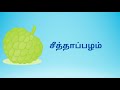 பழங்களின் பெயர்கள் children educational video tamil alagi