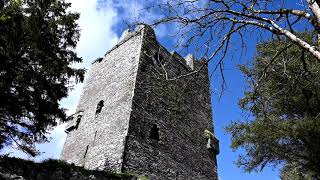 Ballinacarriga Castle, May 2021