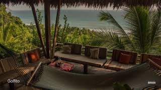 Oceanfront Jungle Eco-Lodge