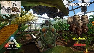 ARK : Survival Evolved NoMods EP 14. เราต้องรอด จับตัวด้วง มาทำปุ๋ย #Dung_Beetle #arkไทย