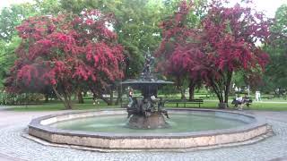 Рижские фонтаны танцуют и поют Riga fountains dance and sing