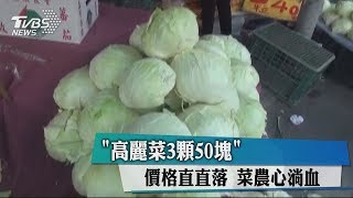 「高麗菜3顆50塊」　價格直直落　菜農心淌血