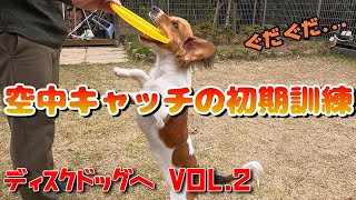 ディスクドッグへの道vol.2「空中キャッチ初期訓練」（フリスビードッグ）