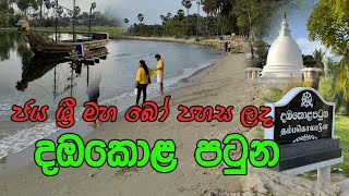 Dambakola Patuna | දඹකොළ පටුන (Travel Jafna)