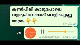 കൺപീലി കാടുപോലെ വളരും! വേണ്ടത് വെളിച്ചെണ്ണ മാത്രം #jamsheedp #eyelashes