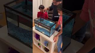 Fish tank setup #aquarium #fish #home