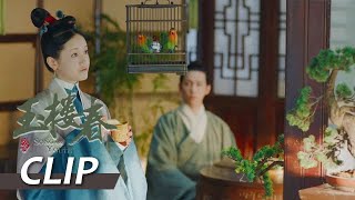 Clip 姚滴珠帮玉楼打听林少春，这姑娘三观好正！【玉楼春 Song of Youth】 白鹿 金晨 王一哲  | 古装情喜剧 |  欢娱影视