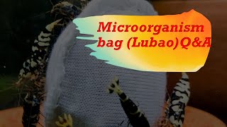 Microorganism bag shrimp food Lubao Q&A