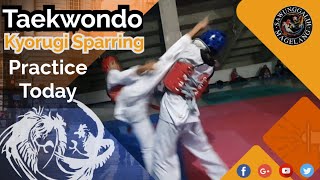 #kyorugi Sparring #taekwondo Practice Today❗️Beginner &Cadet