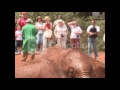 ELEPHANT ORPHANAGE