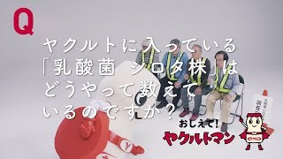 【ヤクルト公式】数えかた篇「おしえて！ヤクルトマン」