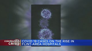 COVID-19 cases on the rise in Flint-area hospitals