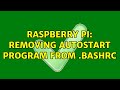 Raspberry Pi: Removing autostart program from .bashrc