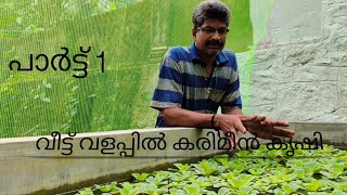 KARIMEEN FARMING IN HOUSE