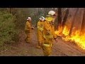 Australia: firefighters battle wildfires near Sydney as more extreme weather conditions forecast