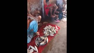 Fish market chabua