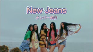 Download 【NewJeans日本語字幕】メンバー紹介!! mp3