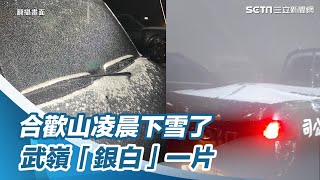 寒流來襲！合歡山凌晨下雪了　武嶺「銀白」一片｜三立新聞網 SETN.com